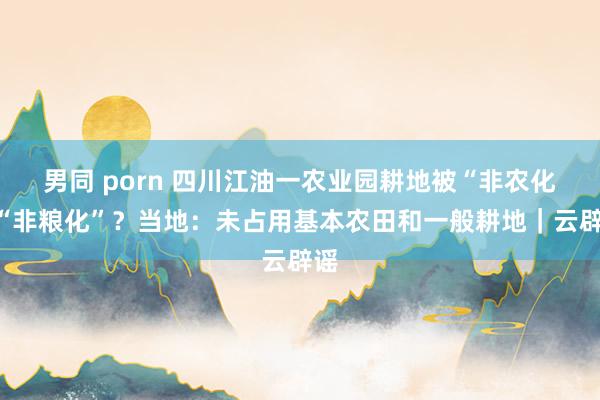 男同 porn 四川江油一农业园耕地被“非农化”“非粮化”？当地：未占用基本农田和一般耕地｜云辟谣