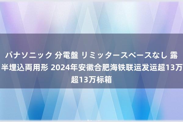 パナソニック 分電盤 リミッタースペースなし 露出・半埋込両用形 2024年安徽合肥海铁联运发运超13万标箱