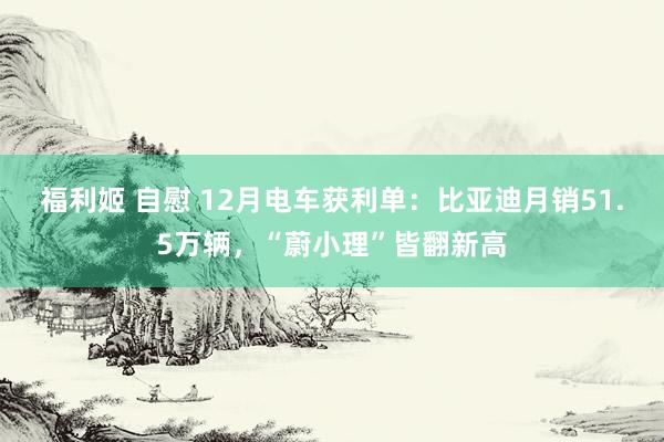 福利姬 自慰 12月电车获利单：比亚迪月销51.5万辆，“蔚小理”皆翻新高