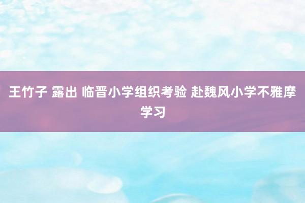 王竹子 露出 临晋小学组织考验 赴魏风小学不雅摩学习