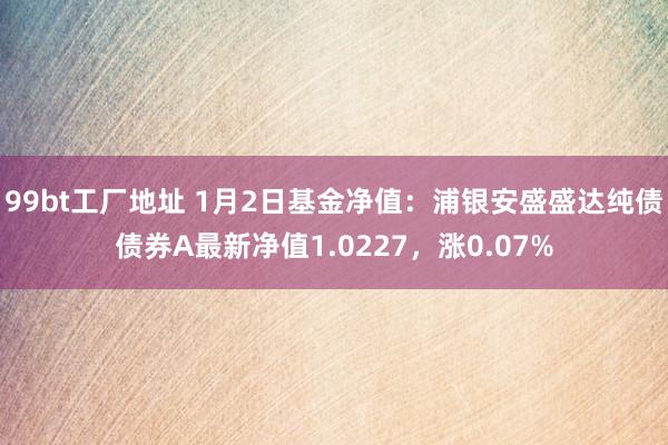 99bt工厂地址 1月2日基金净值：浦银安盛盛达纯债债券A最新净值1.0227，涨0.07%