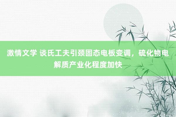 激情文学 谈氏工夫引颈固态电板变调，硫化物电解质产业化程度加快