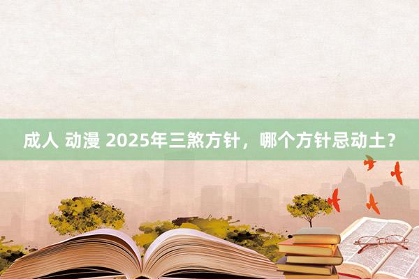 成人 动漫 2025年三煞方针，哪个方针忌动土？