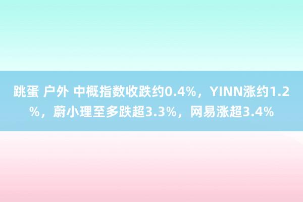 跳蛋 户外 中概指数收跌约0.4%，YINN涨约1.2%，蔚小理至多跌超3.3%，网易涨超3.4%
