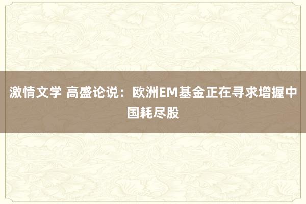 激情文学 高盛论说：欧洲EM基金正在寻求增握中国耗尽股
