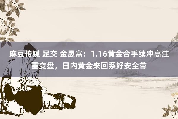 麻豆传媒 足交 金晟富：1.16黄金合手续冲高注重变盘，日内黄金来回系好安全带