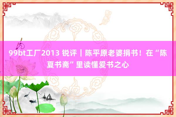 99bt工厂2013 锐评｜陈平原老婆捐书！在“陈夏书斋”里读懂爱书之心